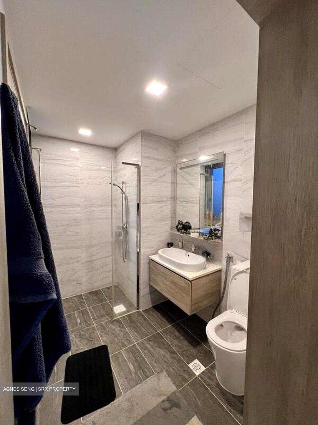 The Alps Residences (D18), Condominium #502541771